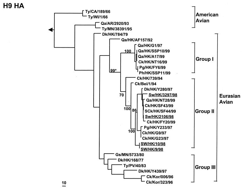 FIG. 1