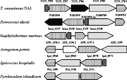 FIG. 2.