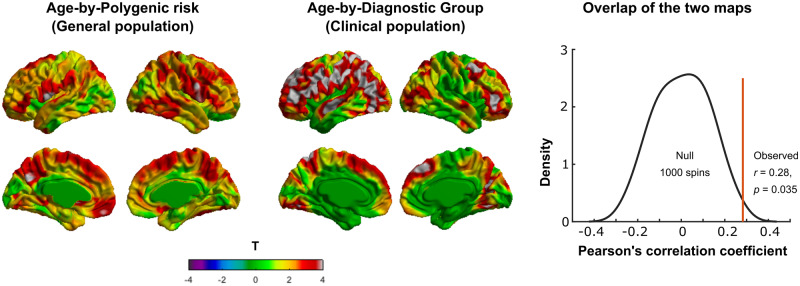 Graphical Abstract