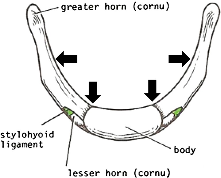 Fig. 5