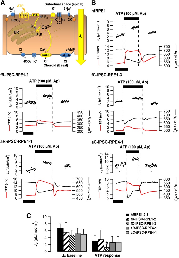 Figure 4.