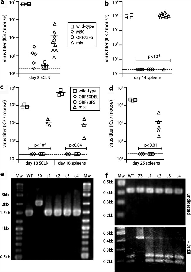 FIG 6