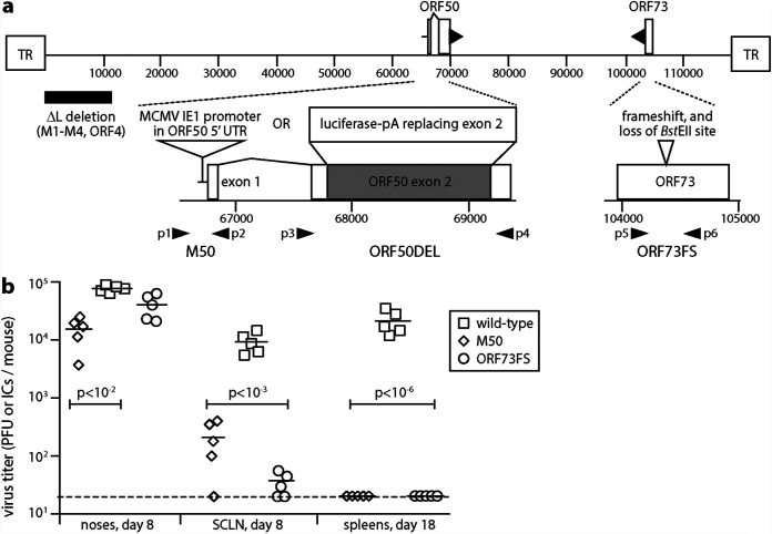 FIG 1