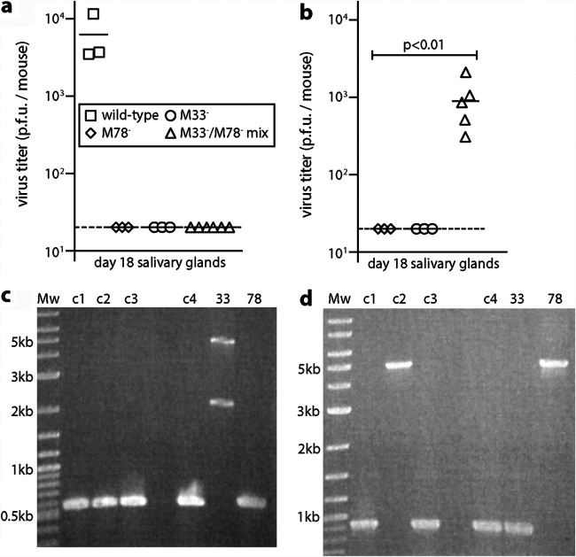 FIG 5