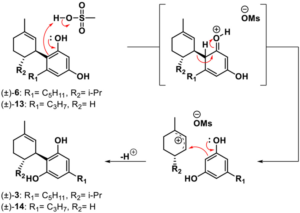 Scheme 3.