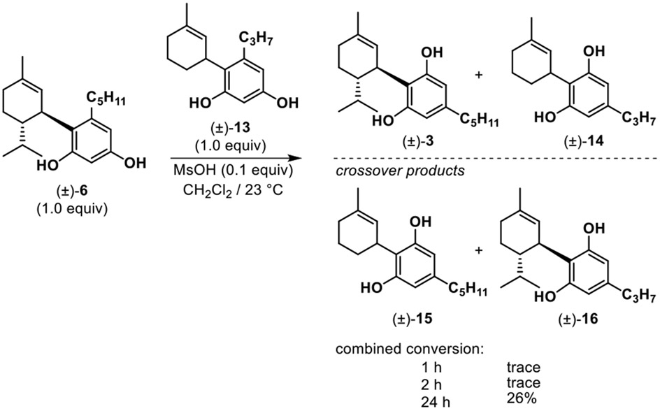 Scheme 2.