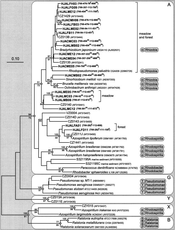 FIG. 5.