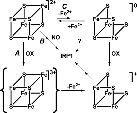 FIGURE 5.