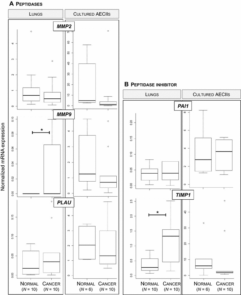 Figure 5