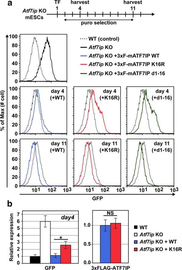 Fig. 6