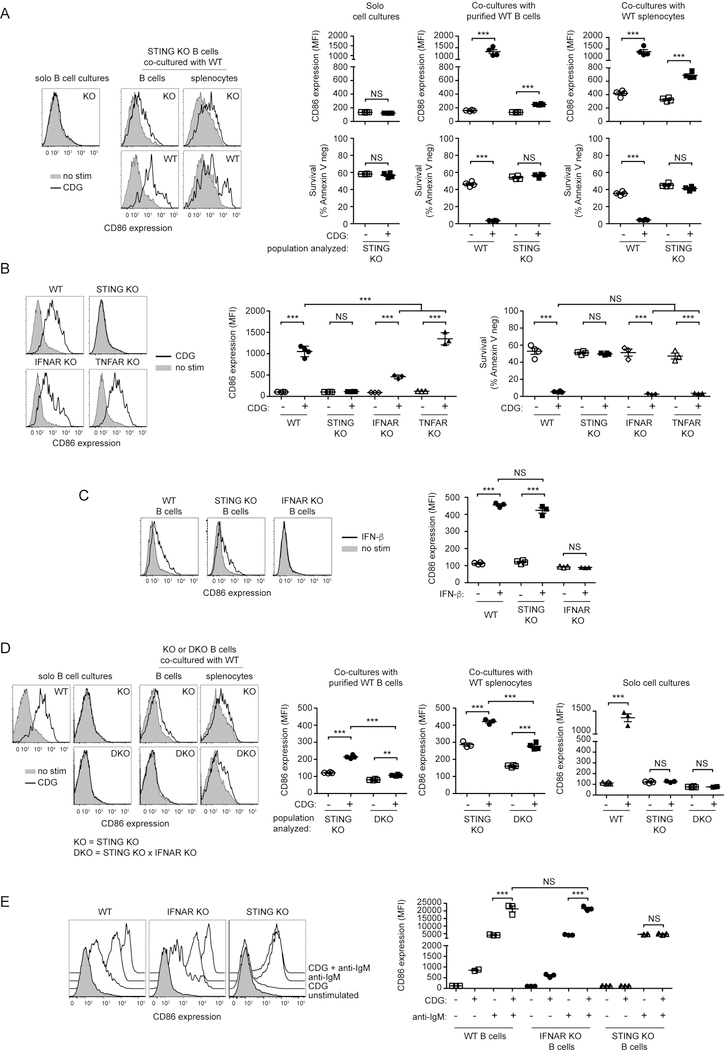 Figure 3: