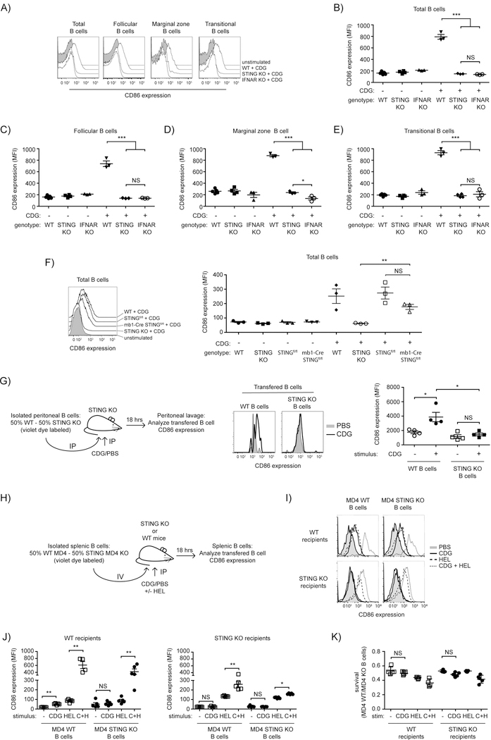 Figure 4: