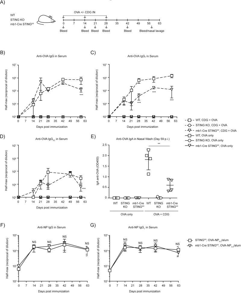 Figure 6: