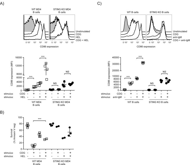 Figure 2: