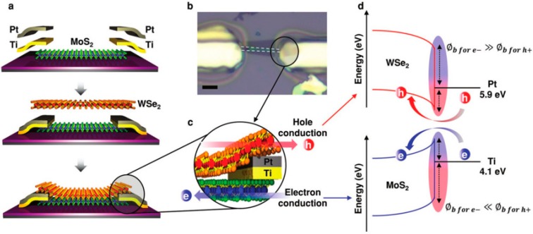 Figure 33