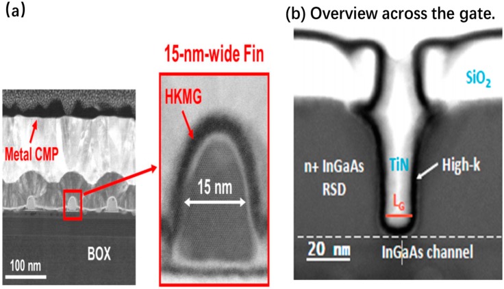 Figure 31