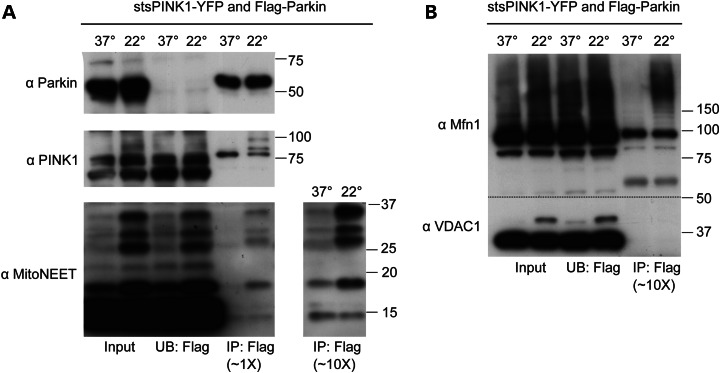 Figure 6.