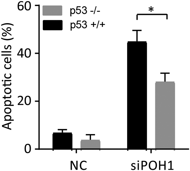 Supplementary Figure 5