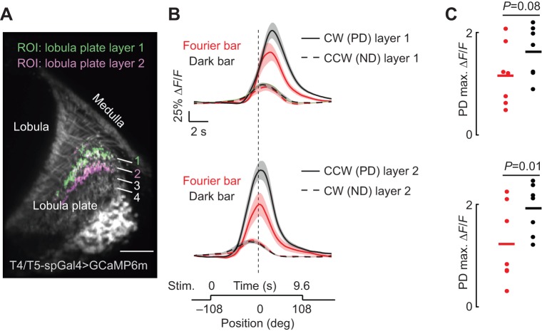 Fig. 7.