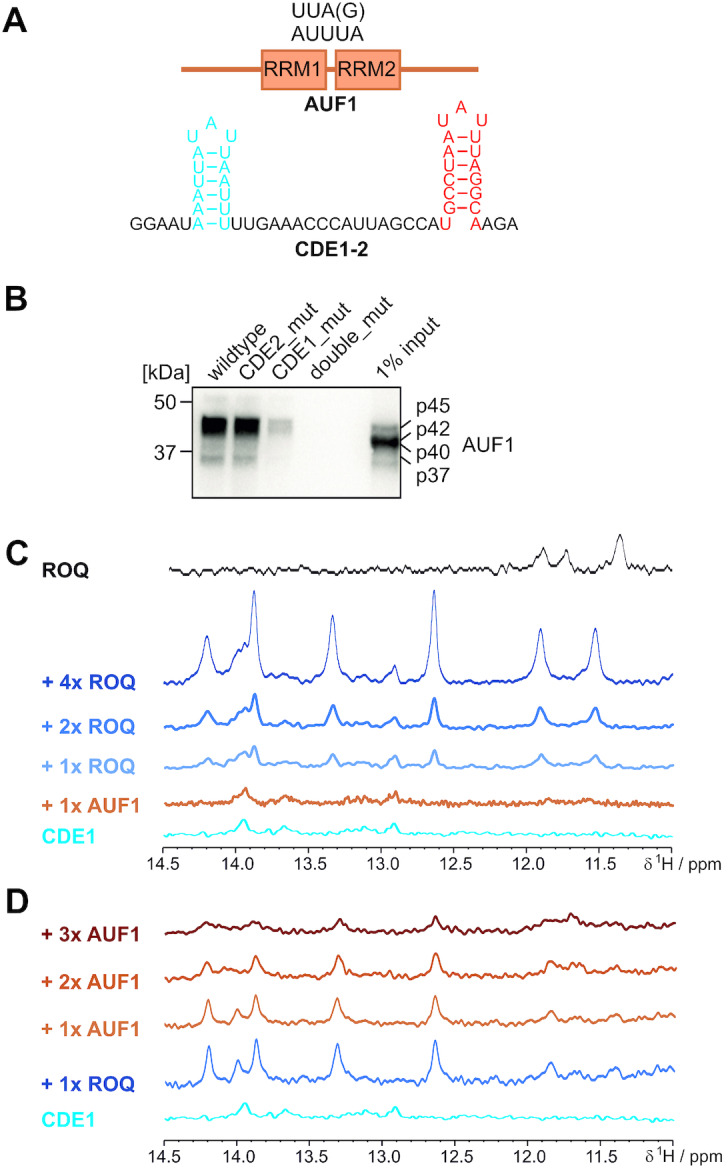 Figure 6.