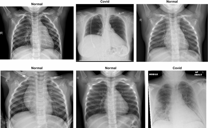 Fig. 7