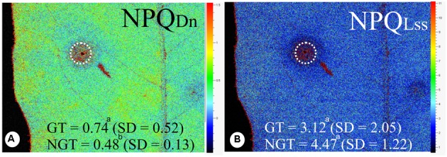 FIGURE 4