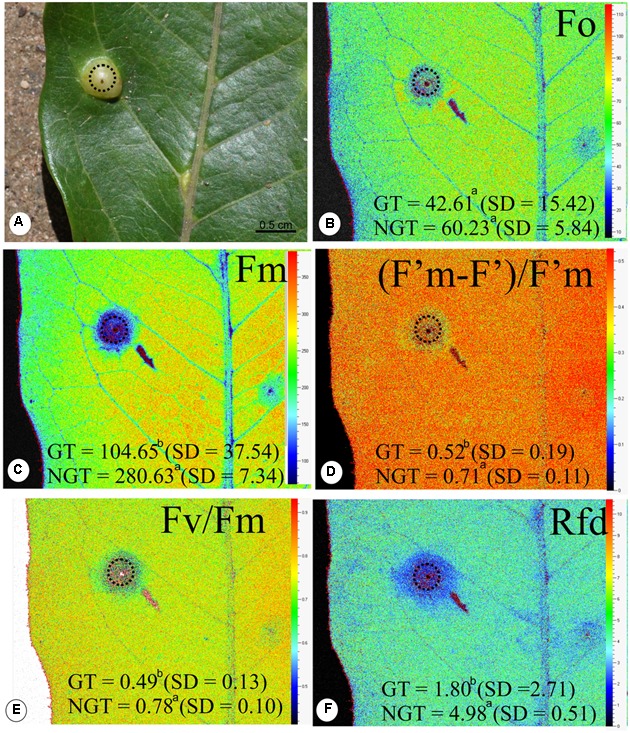 FIGURE 3