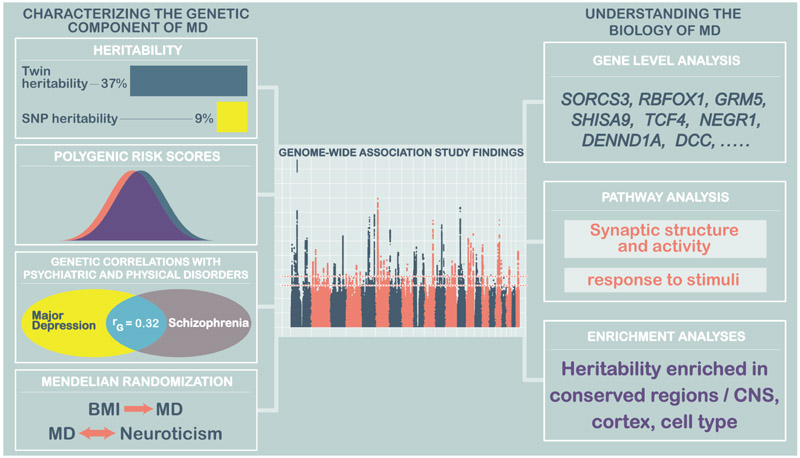 Figure 3: