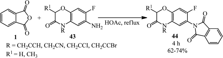 Scheme 19