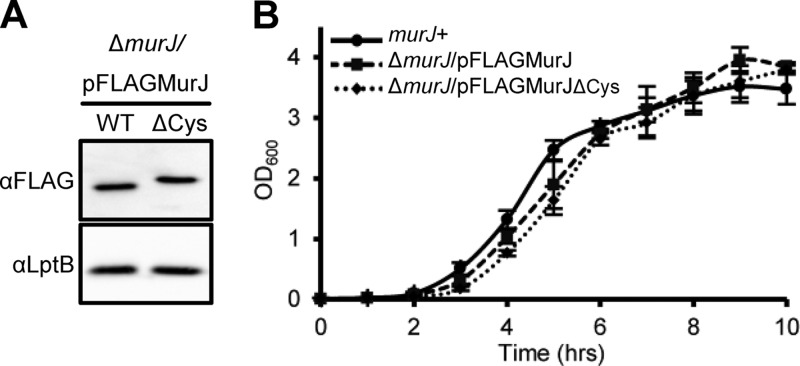 Fig 4