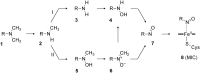 Scheme 6