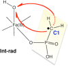 Scheme 10