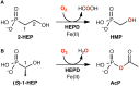 Scheme 9