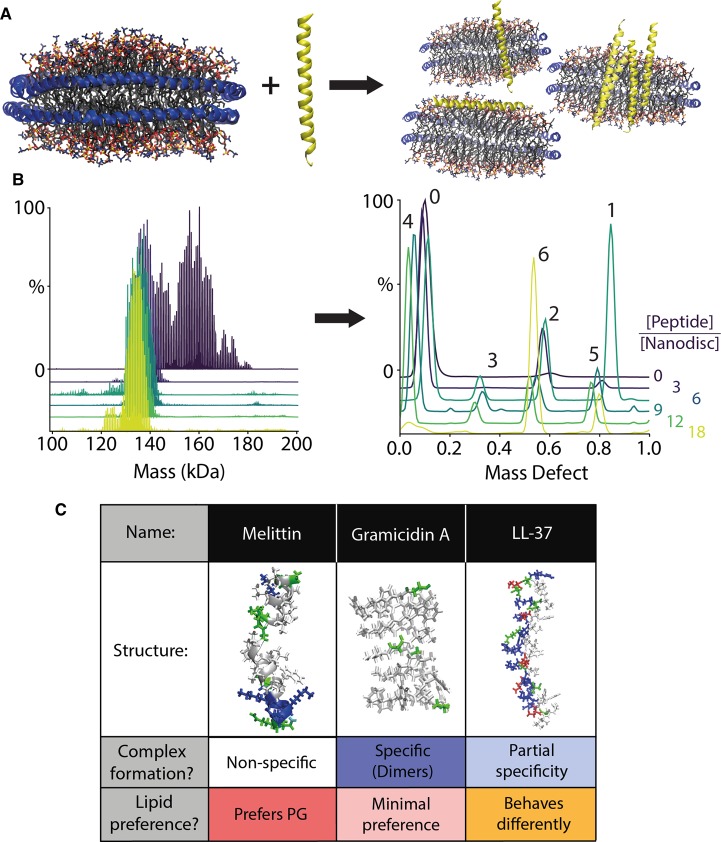 Figure 3.