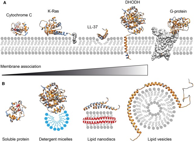 Figure 1.