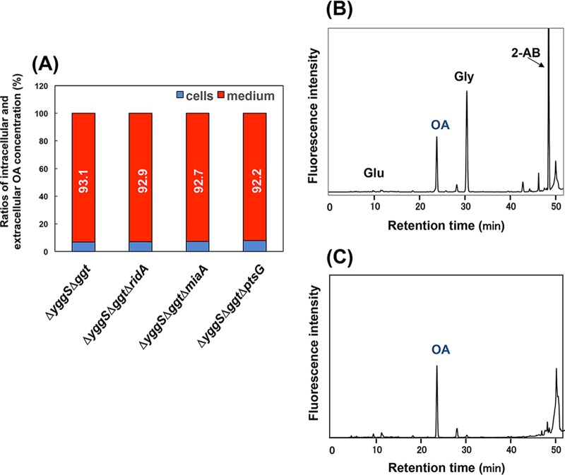 FIG 6