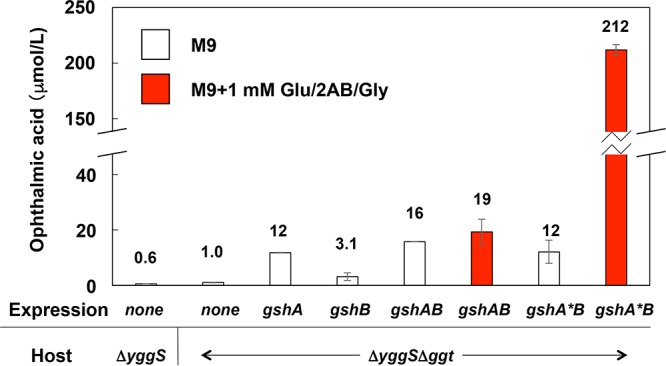 FIG 3