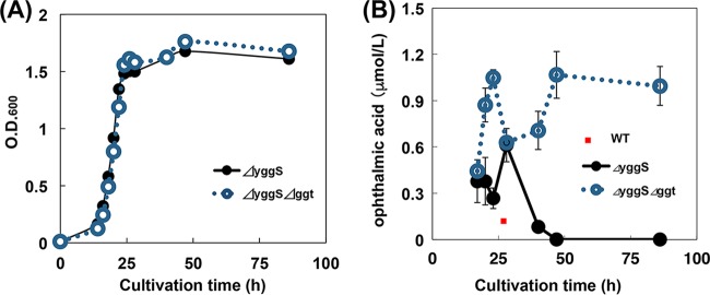 FIG 2