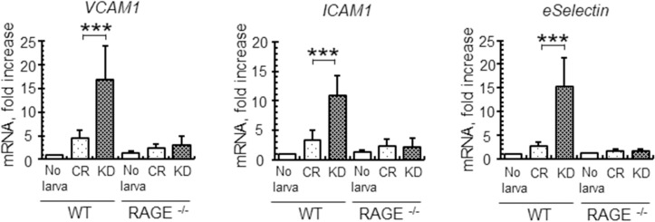 Fig 7