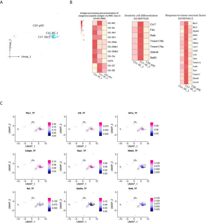 Figure 11