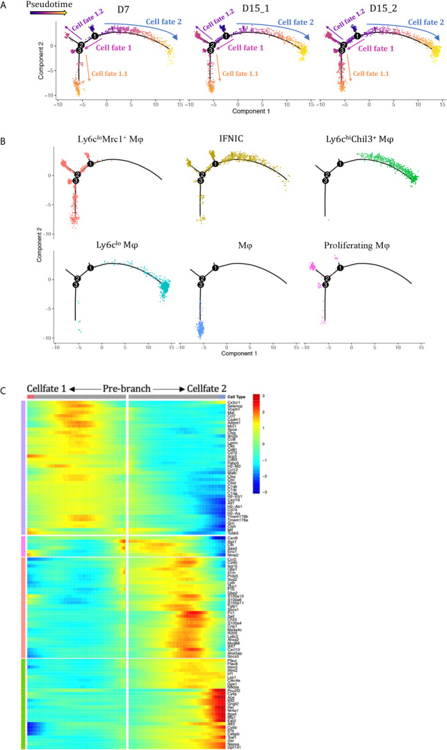 Figure 4