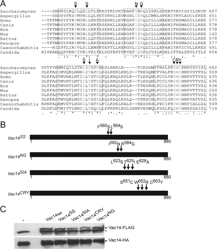 FIGURE 2.