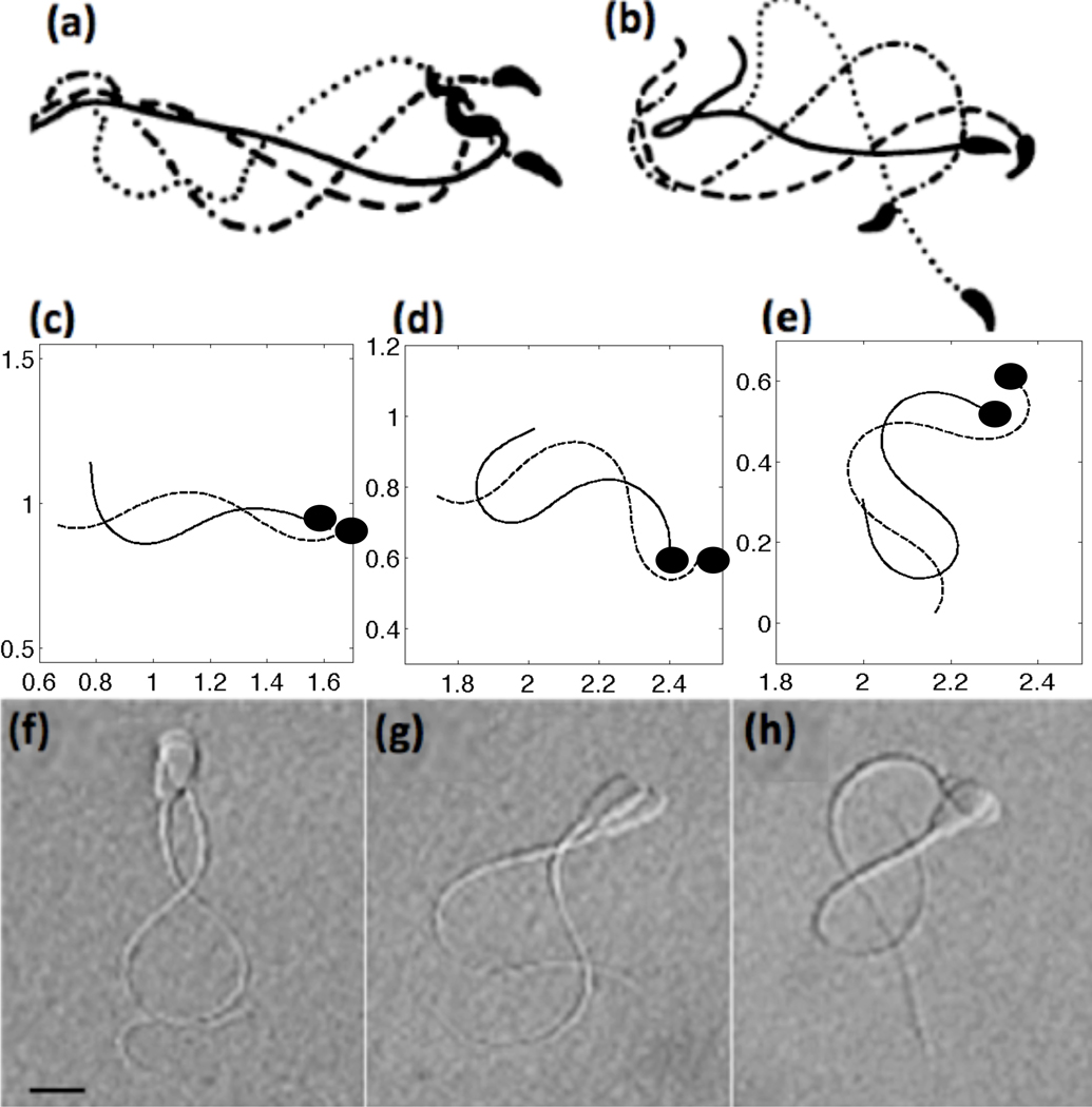 Fig. 6