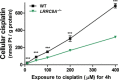 Figure EV3