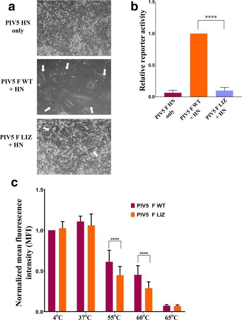 Fig. 3.