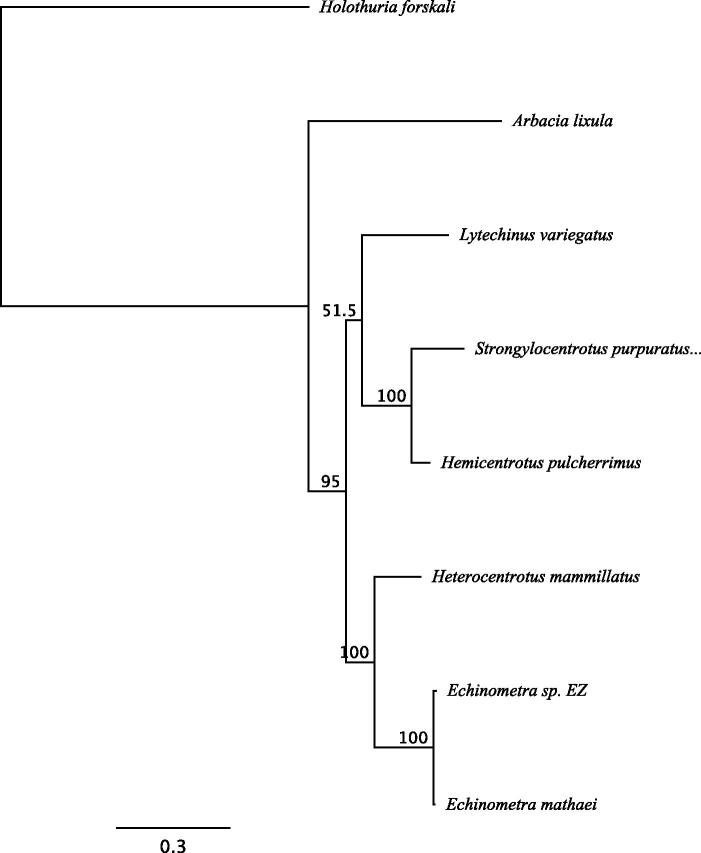 Figure 1: