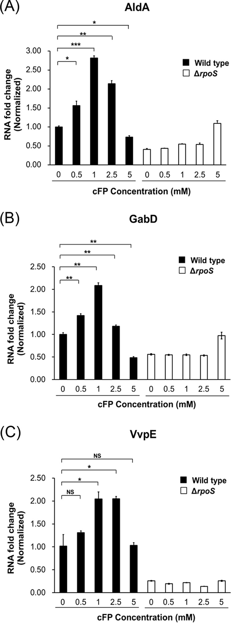 FIG 8