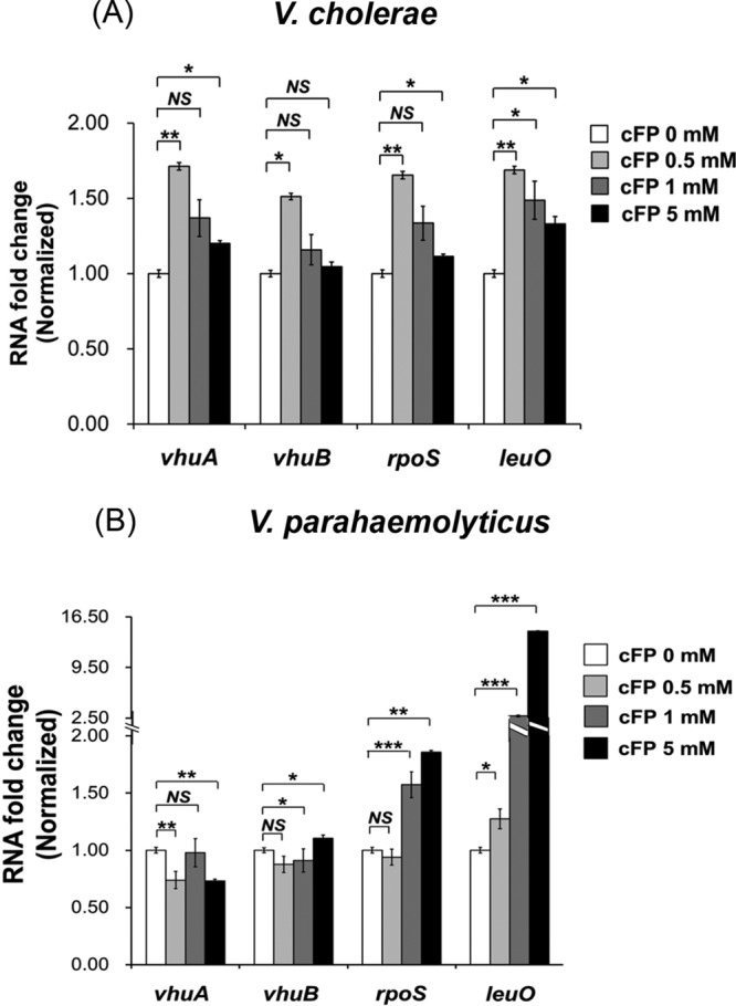 FIG 9