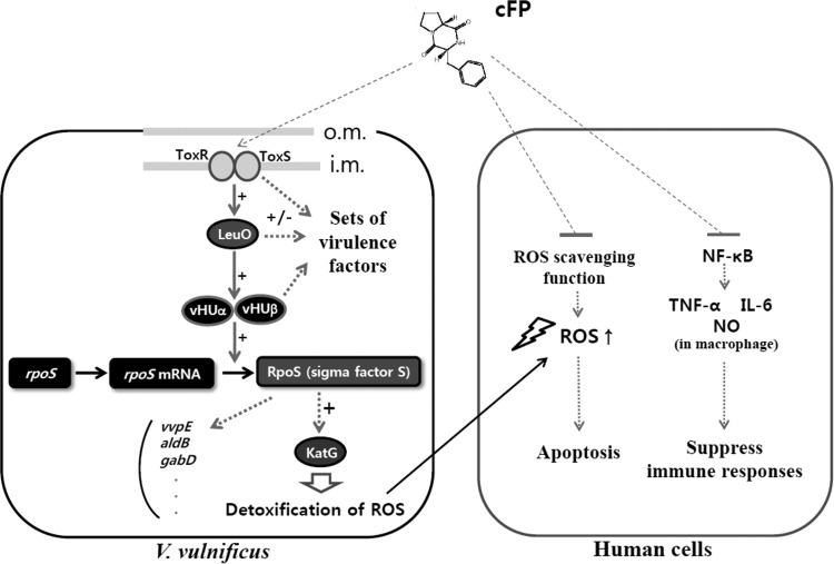 FIG 10