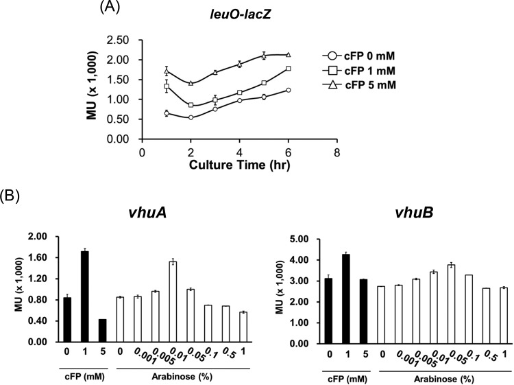 FIG 6